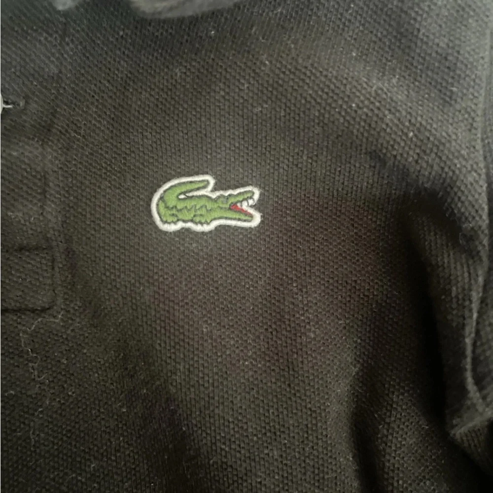 Lacoste Kids Dark Polo Shirt - Picture 3 of 4